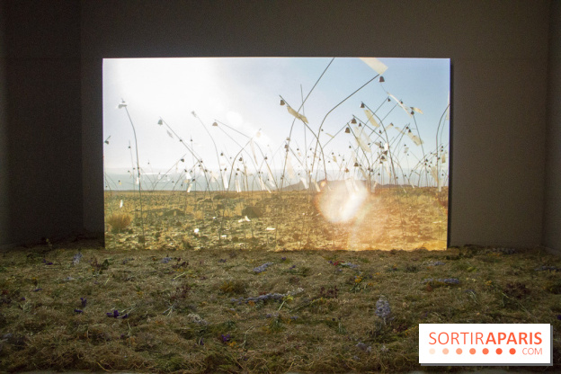 Nocturne dédiée au monde Kawaii à la Fondation Louis Vuitton : les photos