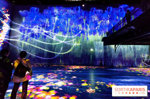 Teamlab : au delà des limites à la Villette, les photos