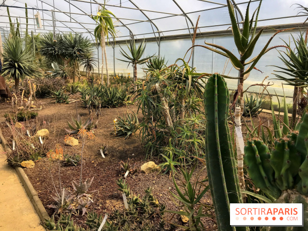 L'Arboretum de Versailles - Chevreloup