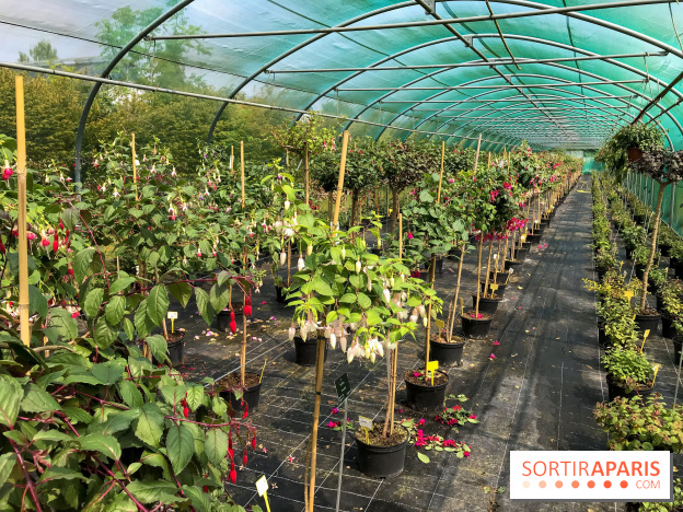 L'Arboretum de Versailles - Chevreloup