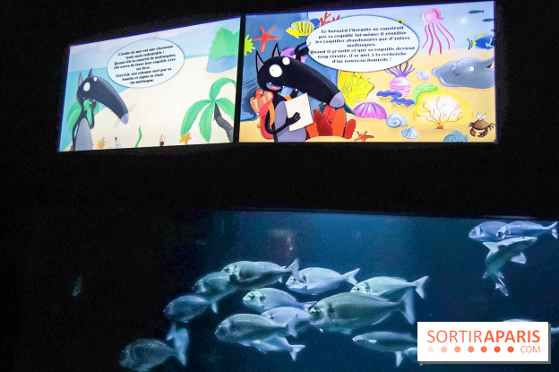 Loup préserve les océans à l'Aquarium de Paris, les photos