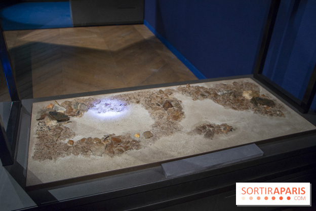 Un T-Rex à Paris : les photos