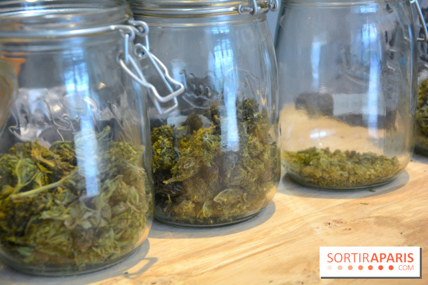 Le Lab du bonheur à Paris, un Coffee Shop CBD bien-être 