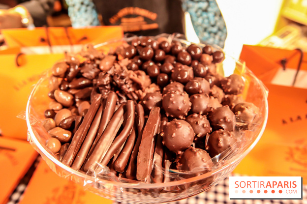 Maison Plisson 2, inauguration