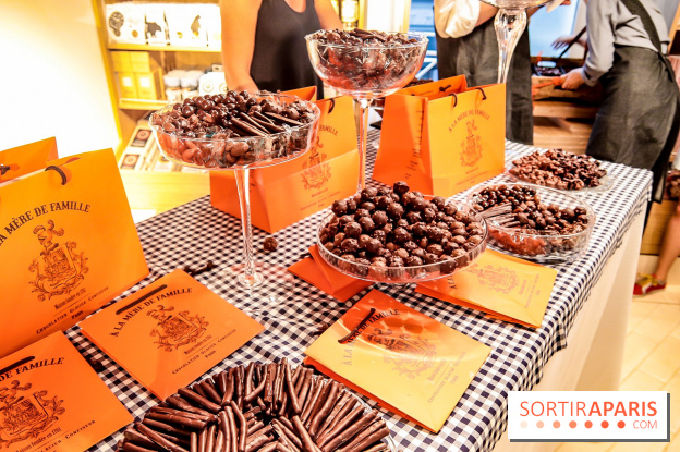 Maison Plisson 2, inauguration