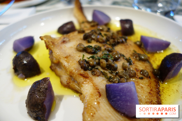 Zebra par Alexandre Giesbert et Julien Ross dans le 16e à Paris