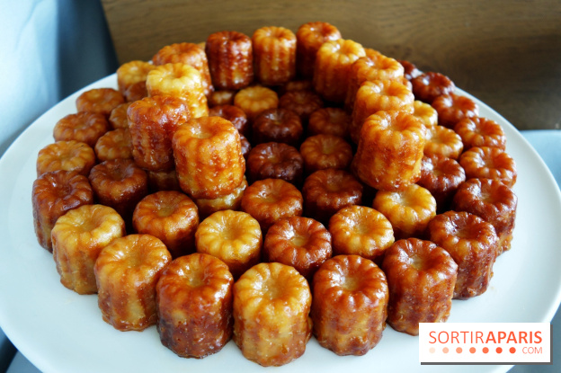 Brunch et croisière offerte sur La Seine avec les Bateaux Mouches