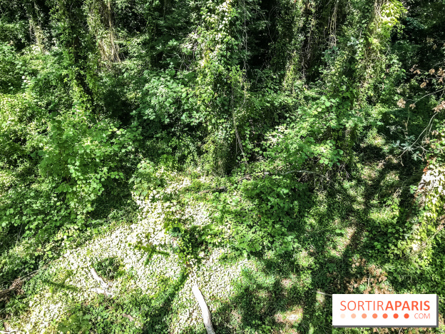 AccroCamp, l'accrobranche des Boucles de Seine