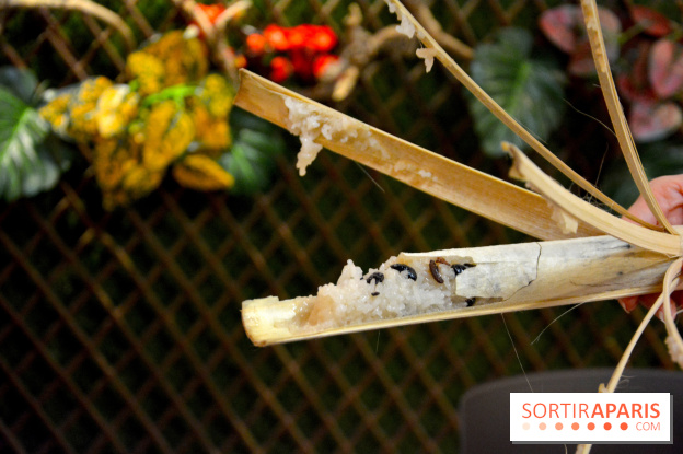 Baoli Bao, le temple du Bao Burger