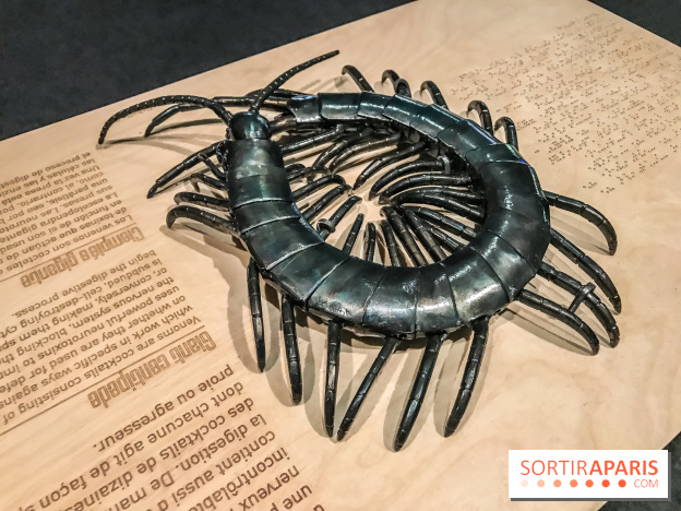 Poison au Palais de la Découverte, les photos 