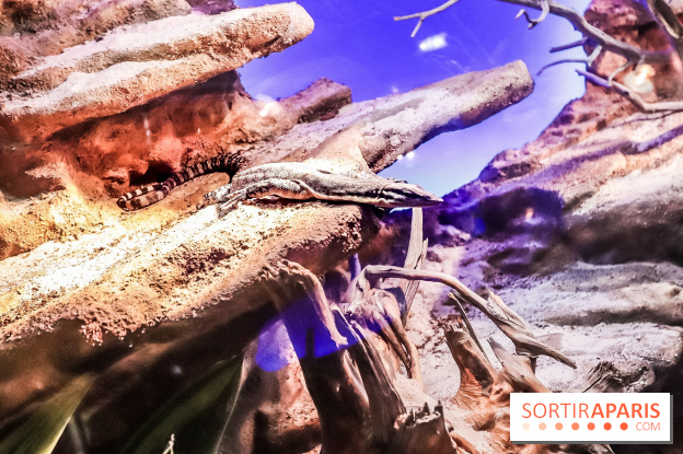 Poison au Palais de la Découverte, les photos 