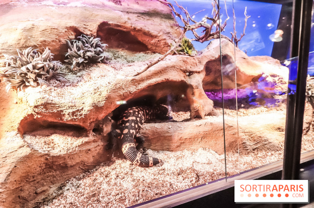 Poison au Palais de la Découverte, les photos