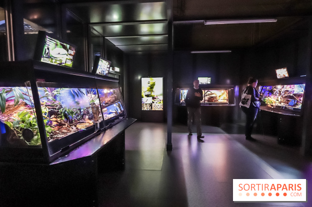 Poison au Palais de la Découverte, les photos 