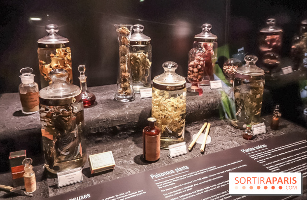 Poison au Palais de la Découverte, les photos 