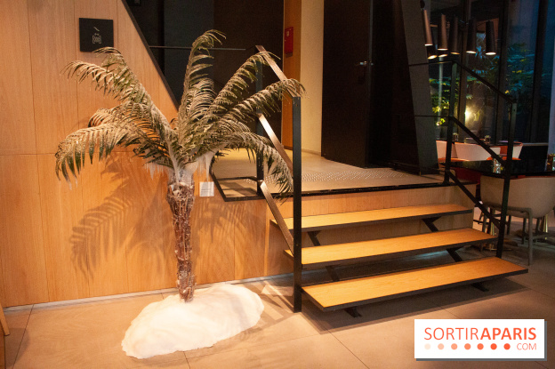 Reality Check au Cinq Codet