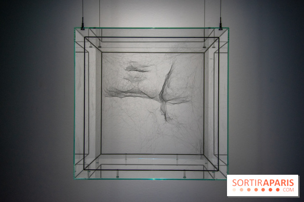 Carte Blanche à Tomas Saraceno au Palais de Tokyo