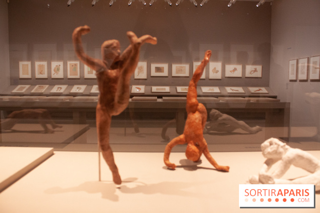 Rodin, dessiner, découper au musée Rodin