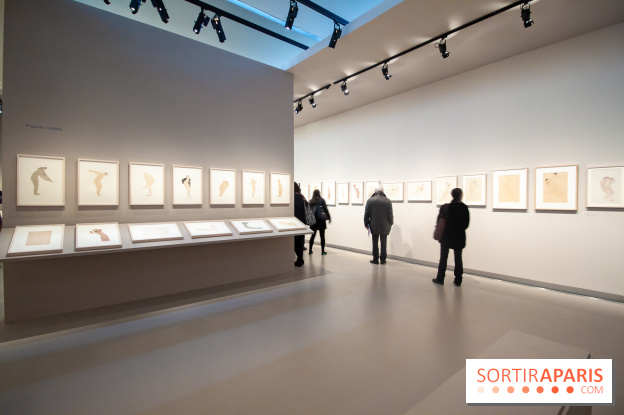 Rodin, dessiner, découper au musée Rodin