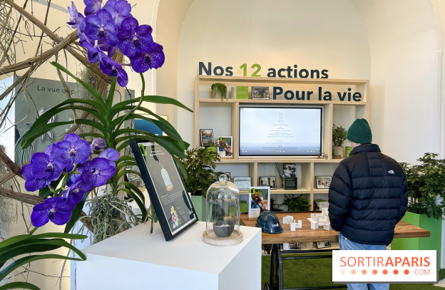 Le BHV Marais se met au vert : marques engagées, ateliers créatifs et jardin éphémère !