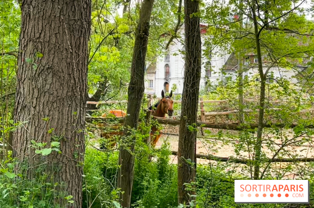 La balade-randonnée bucolique de Jouy-en-Josas à l'Aqueduc de Buc (78), à faire en famille