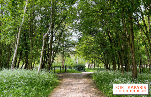 La balade-randonnée bucolique de Jouy-en-Josas à l'Aqueduc de Buc (78), à faire en famille