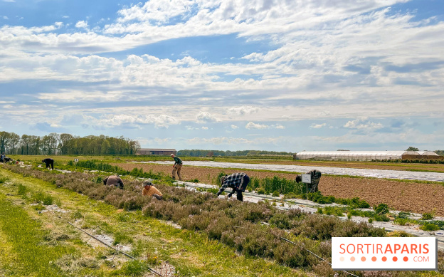 La balade-randonnée bucolique de Jouy-en-Josas à l'Aqueduc de Buc (78), à faire en famille