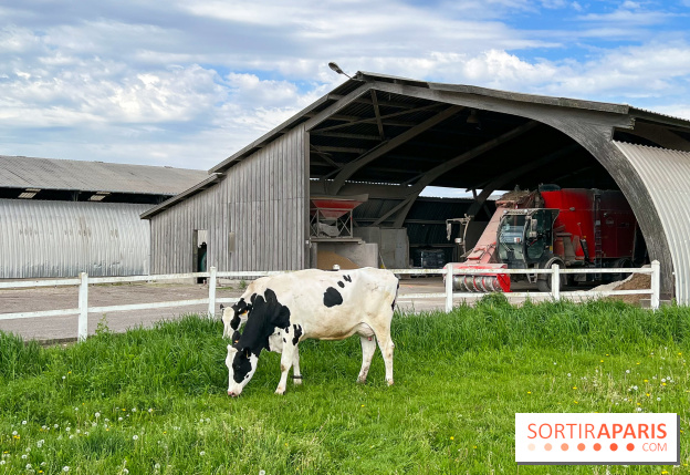 La balade-randonnée bucolique de Jouy-en-Josas à l'Aqueduc de Buc (78), à faire en famille