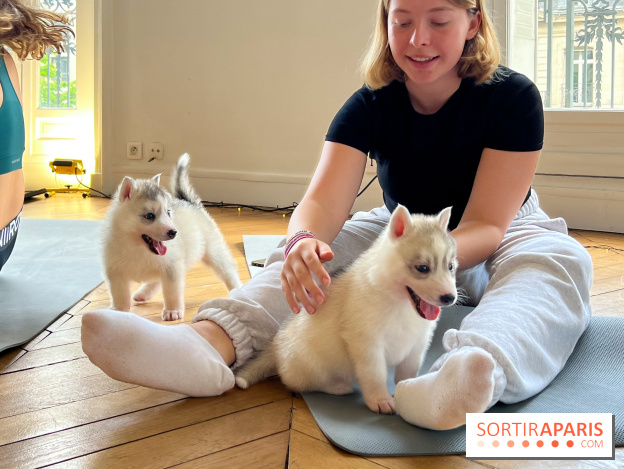 Puppy Yoga Paris, des séances de yoga tout en câlins avec d'adorables chiots - Prochaines dates