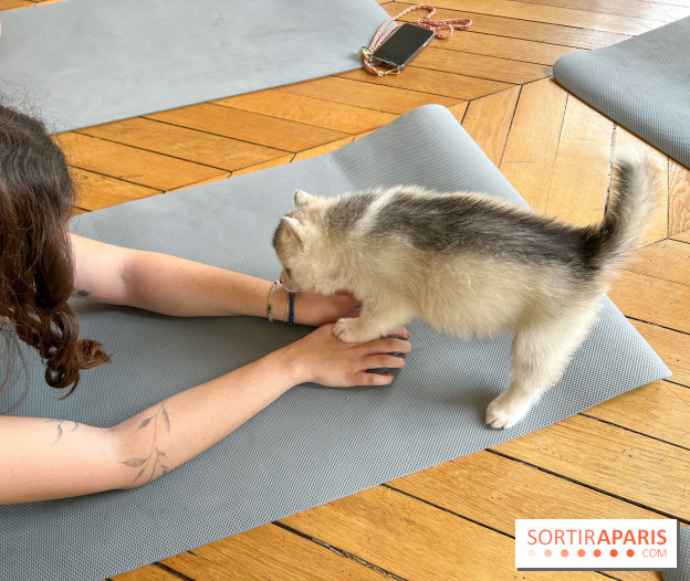 Puppy Yoga Paris, des séances de yoga tout en câlins avec d'adorables chiots - Prochaines dates