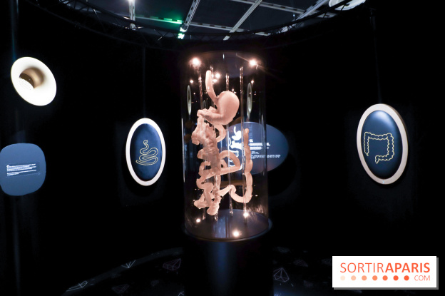 Microbiote, l'exposition à la Cité des Sciences