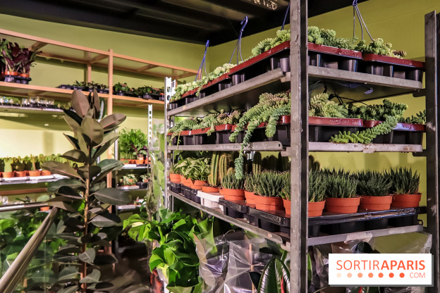 Bergamotte, le lieu de vie dédié au végétal