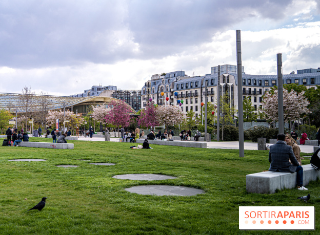 Visuel Paris Jardin Nelson Mandela cerisiers en fleurs