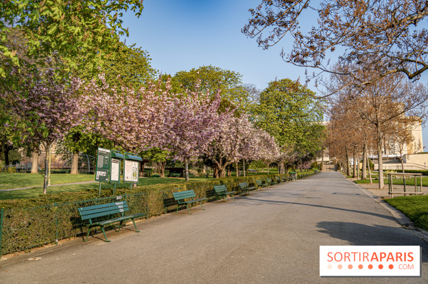 Visuel Paris Trocadéro cerisiers en fleurs