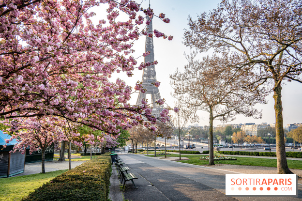 Visuel Paris Tour Eiffel cerisiers en fleurs