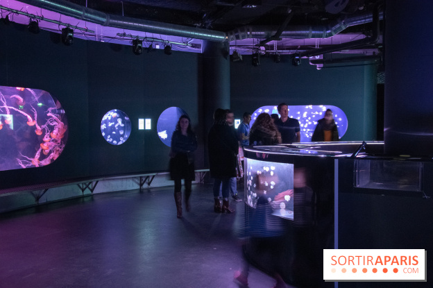 L'Aquarium de Paris ouvre son Médusarium