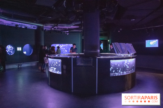 L'Aquarium de Paris ouvre son Médusarium