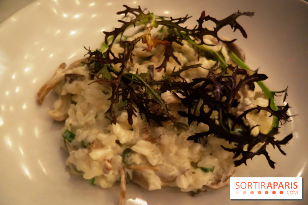 Tous : restaurant bistronomique à Paris, les photos