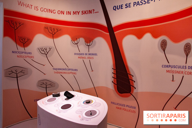 Dans ma peau au Musée de l'Homme : nos photos