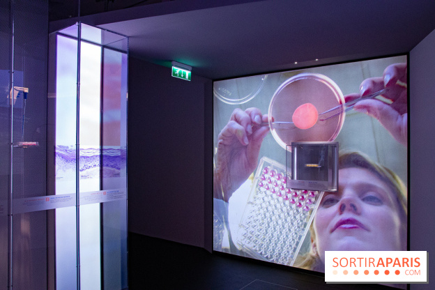 Dans ma peau au Musée de l'Homme : nos photos