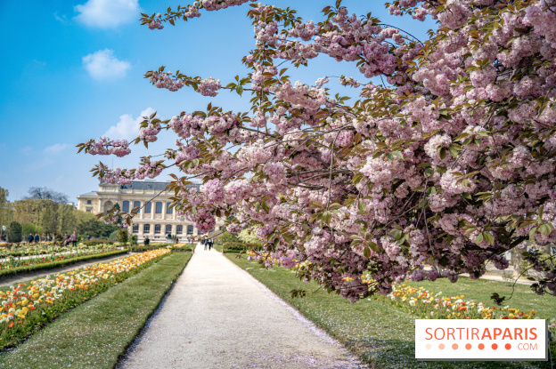 Le Jardin des Plantes