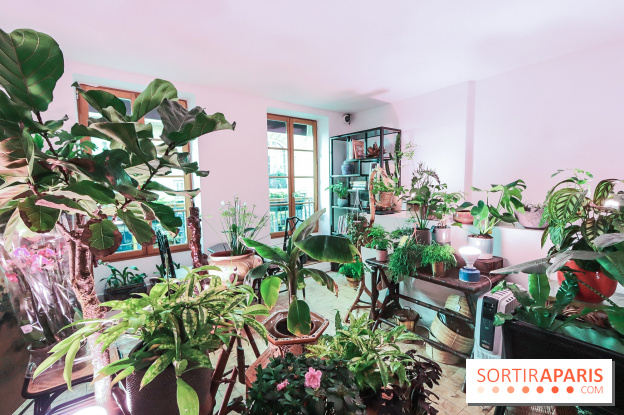 Boya Paris, fleuriste et artisanat