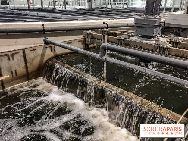 Earth Month à Disneyland Paris