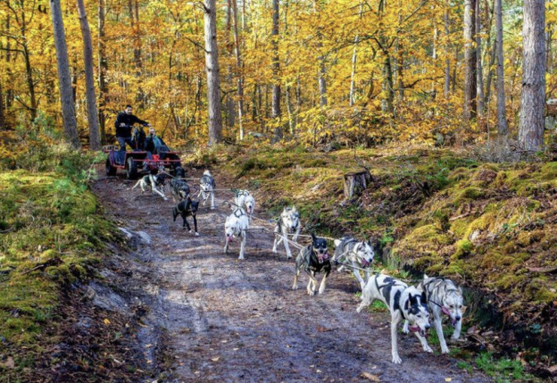 Activités sportives, visites culturelles et aventures partagées : des vacances pleines de souvenirs au Pays de Fontainebleau !