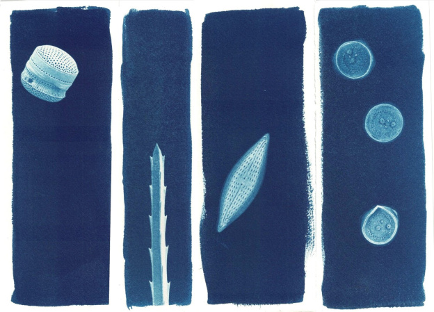 Fête de la Science à l'Ecole Normale Supérieure 