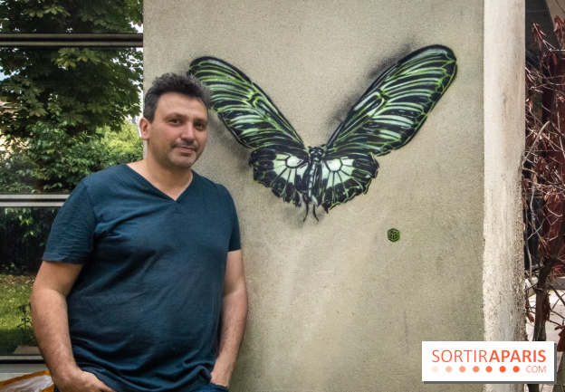 Les Papillons de C215