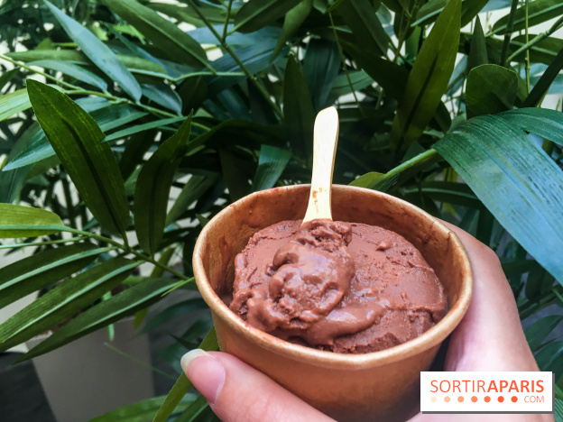 Les glaces au chocolat de Ducasse 