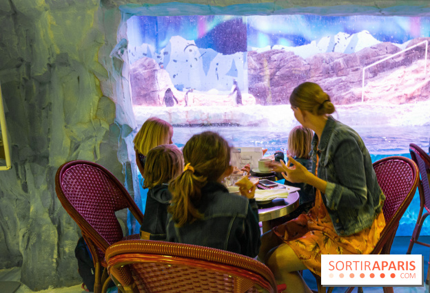 Les petits déjeuners avec les manchots de l'aquarium Sea Life