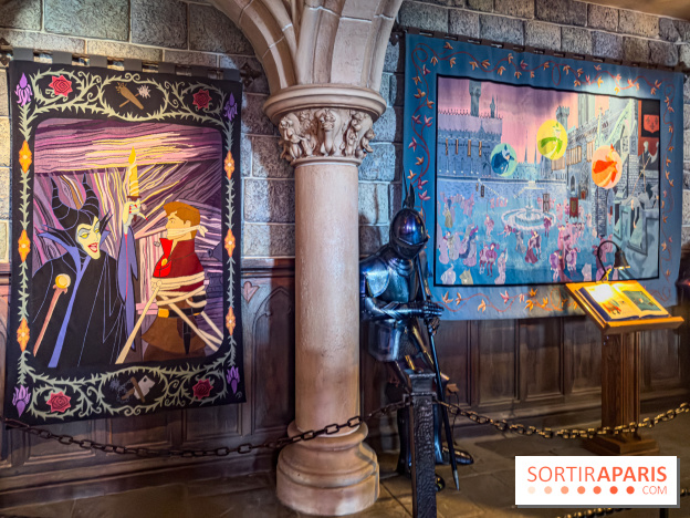 Visuels Disneyland Paris - tapisserie château belle au bois dormant