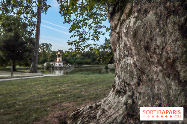 Le parcours des Arbres Admirables dans le domaine du château de Versailles