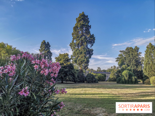 Le parcours des Arbres Admirables dans le domaine du château de Versailles